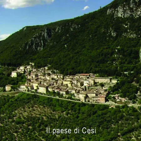 Foresteria Terra Majura *